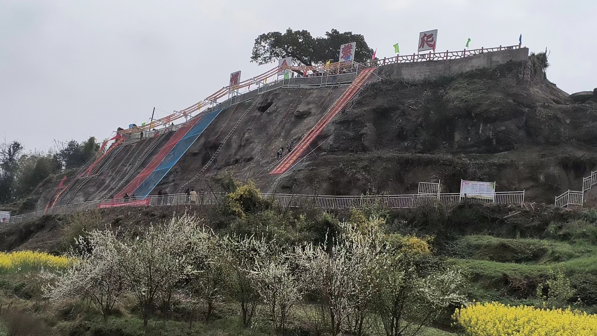 1711197321930581.jpg 图片3.jpg