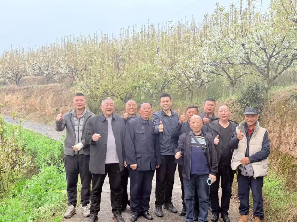 在那梨花盛开的果园 书勇会长兑现了承诺